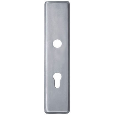 Stainless Steel Handle Plate